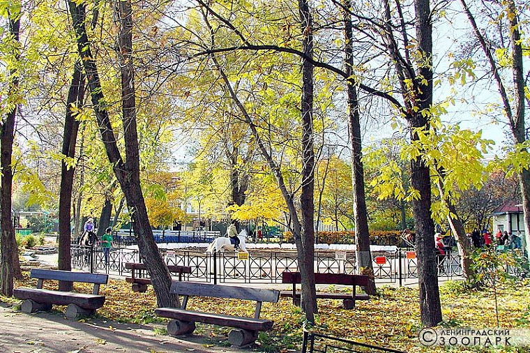 Круг катания (аттракцион в Ленинградском зоопарке), Петроградская сторона — рядом с отелем «Огни Петербурга», фото 3